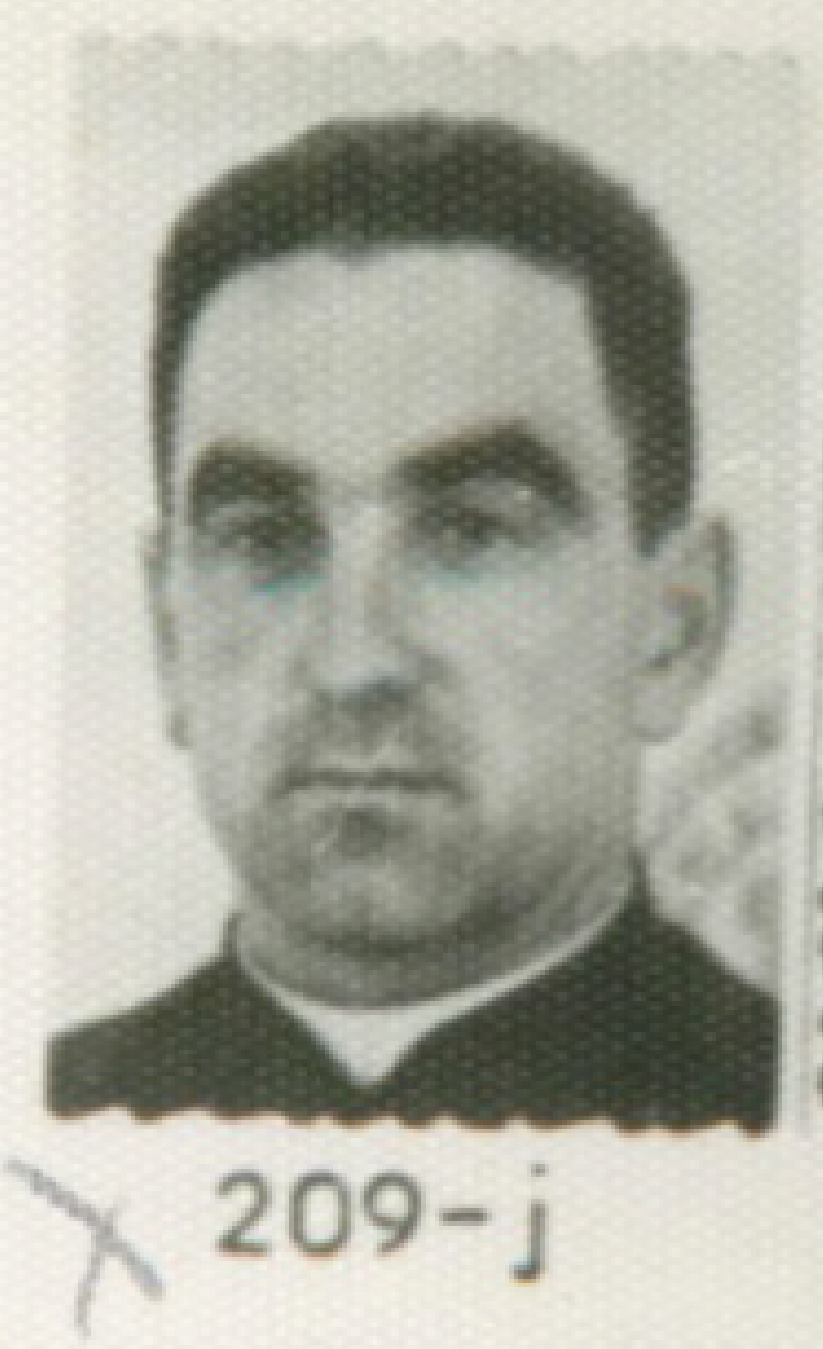  'irudi nagusia' 